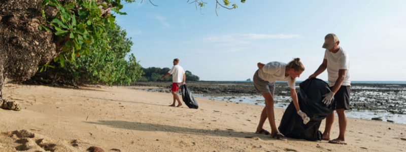 beach cleanup