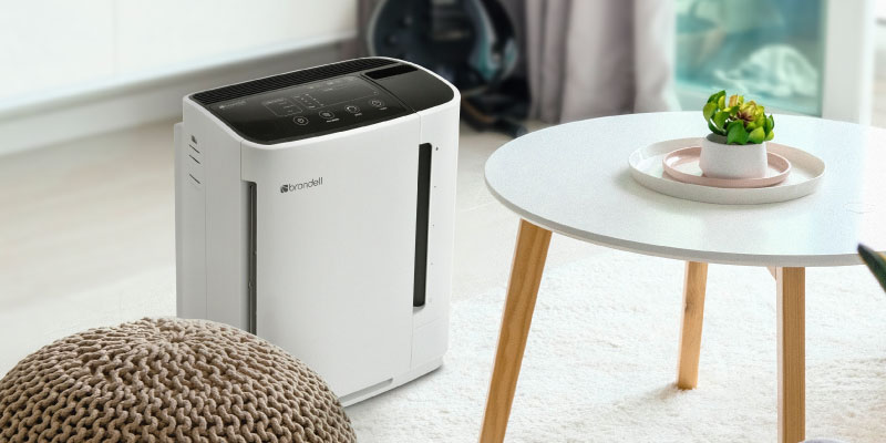White Brondell Revive air purifier filter in the living room